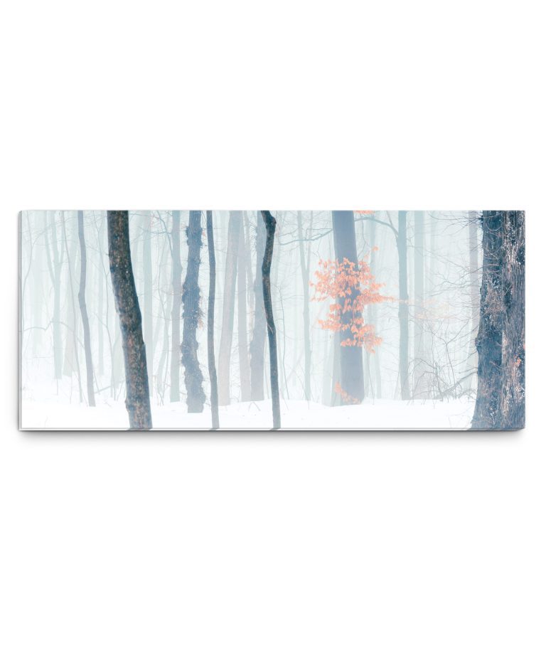 Obraz zimní les v mlze Obraz zimní les v mlze