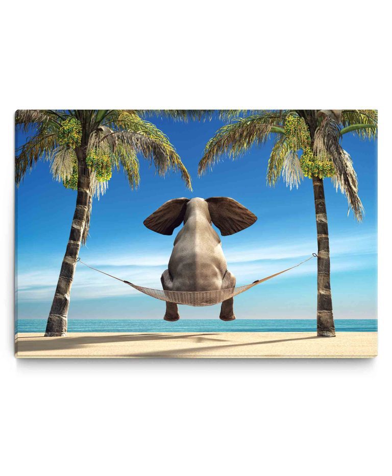 Obraz Vtipný slon na pláži Obraz Vtipný slon na pláži
