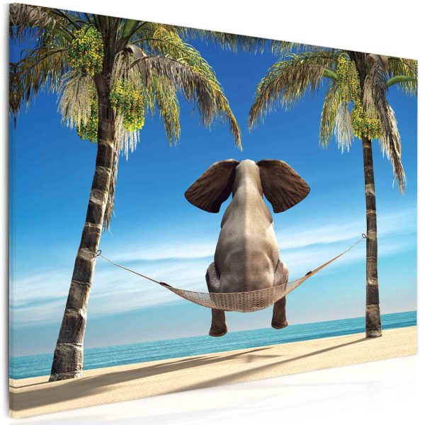 Obraz Vtipný slon na pláži Obraz Vtipný slon na pláži
