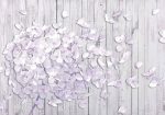 Tapeta 3D odkvétající hortenzie Tapeta 3D odkvétající hortenzie