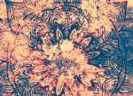 Tapeta Mandala ohnivá Tapeta Mandala ohnivá